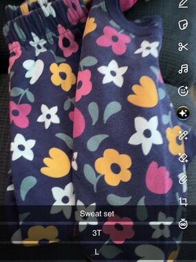Garanimals Navy Floral Sweat Set with Pink, Yellow & White Flowers